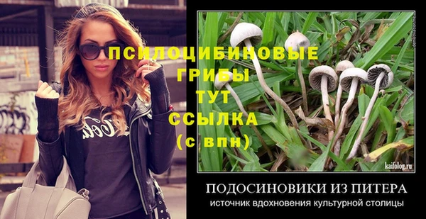 кристаллы Новозыбков
