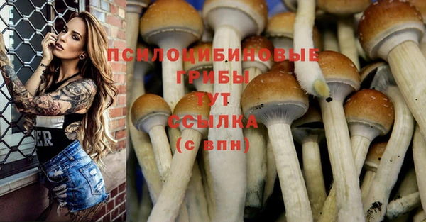 COCAINE Новодвинск
